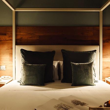 Albergo La Pace Segni Ngoại thất bức ảnh