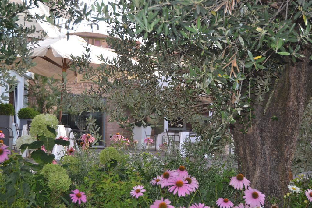Albergo La Pace Segni Ngoại thất bức ảnh
